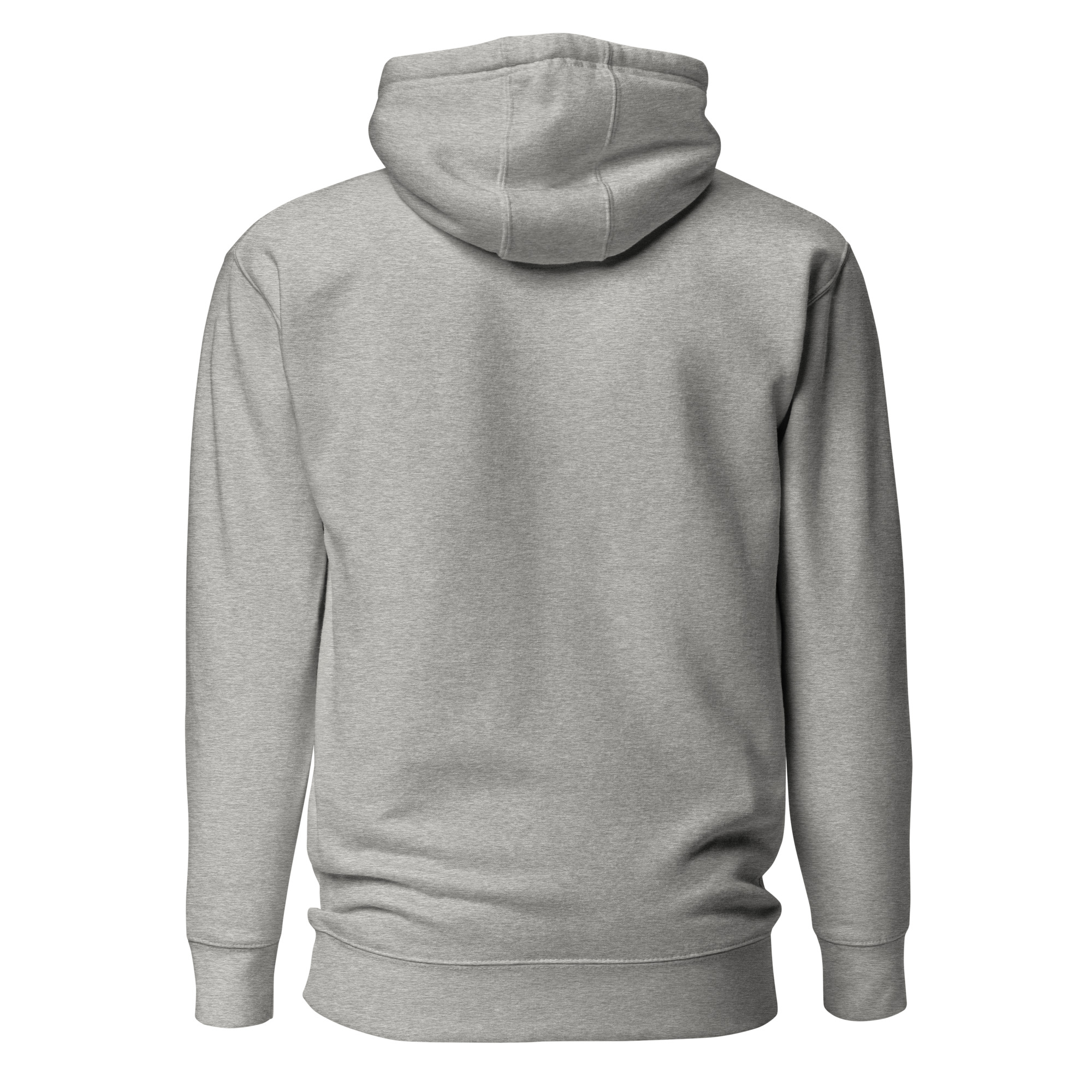unisex-premium-hoodie-carbon-grey-back-6634e620c93ce.jpg